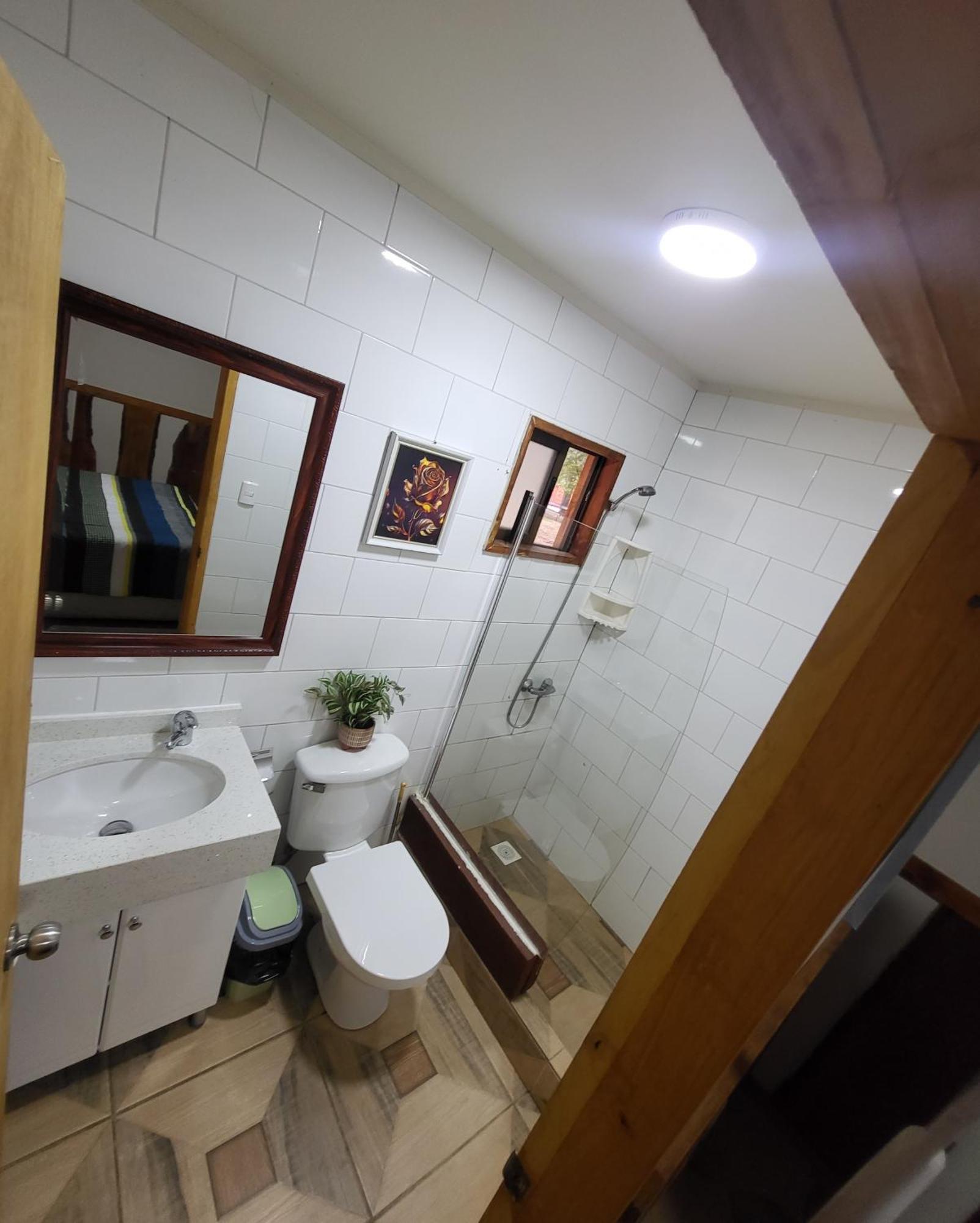 El Bosque Apartamento Pucón