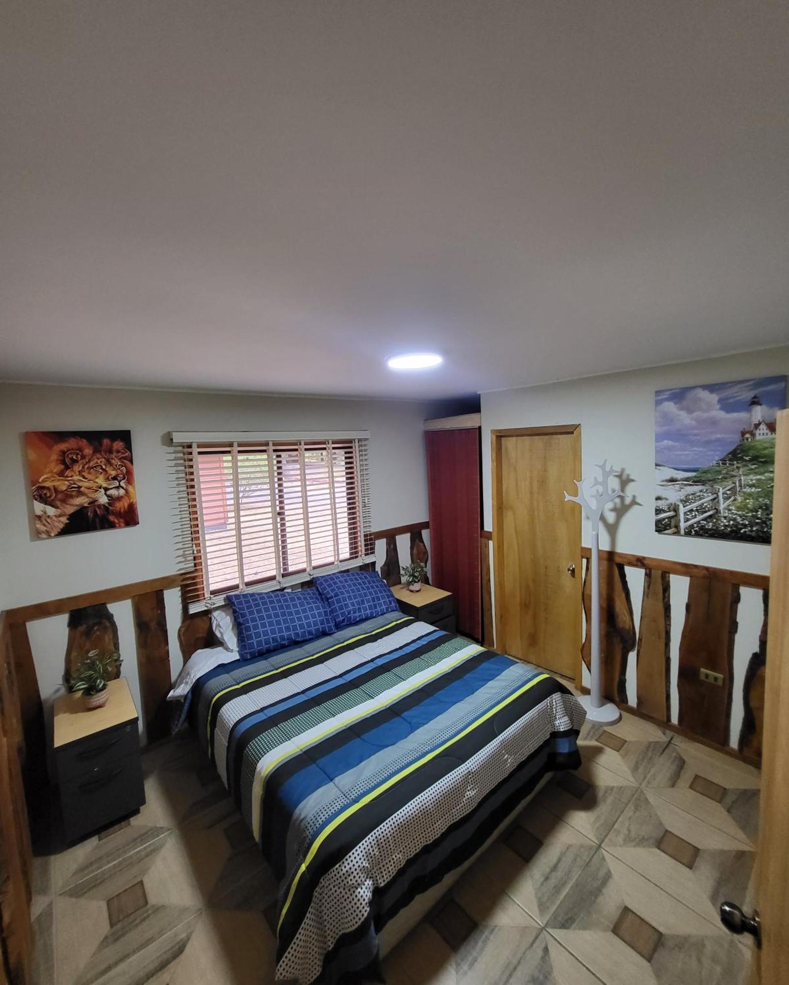 El Bosque Apartamento Pucón