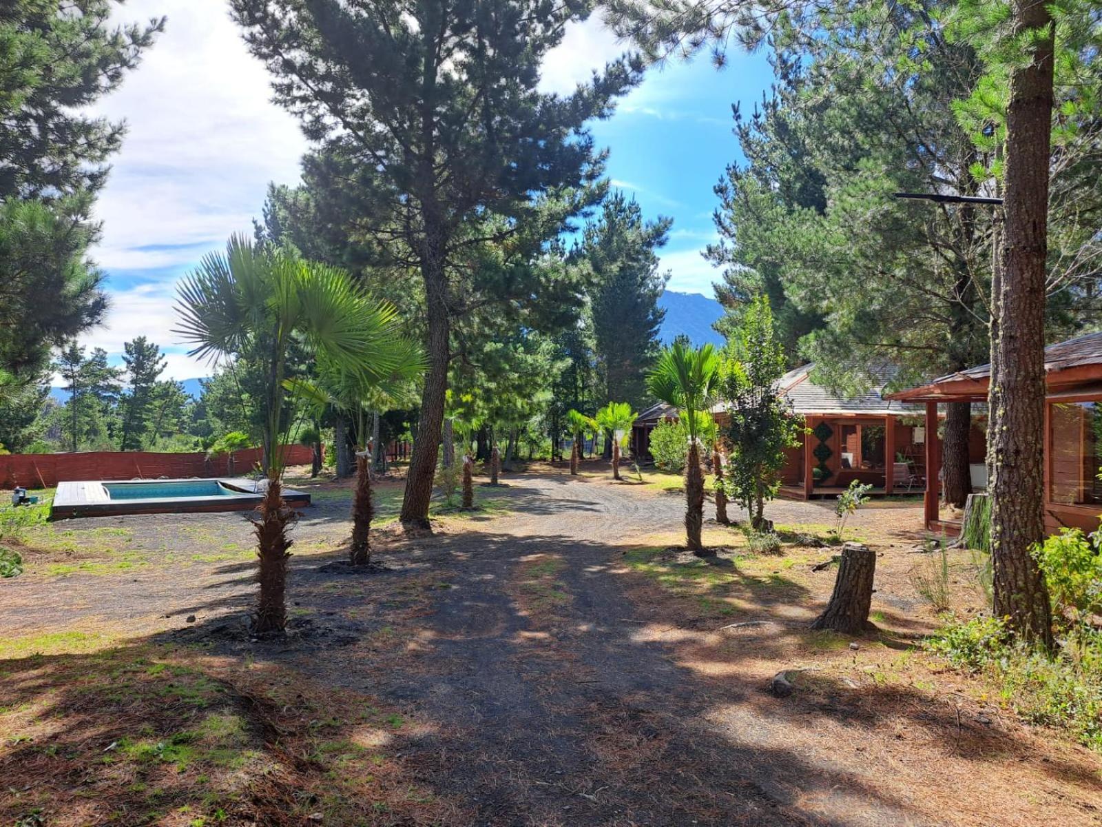 El Bosque Apartamento *